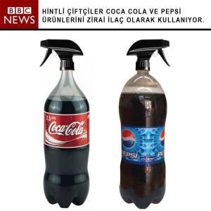 10336700_10152408247256052_7801744623895691621_n[1]