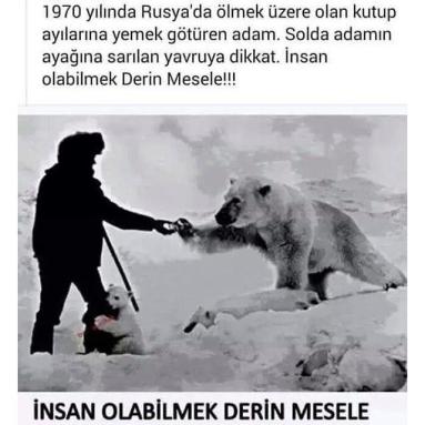 10406489_10153068000548408_5041269887720710986_n[1]