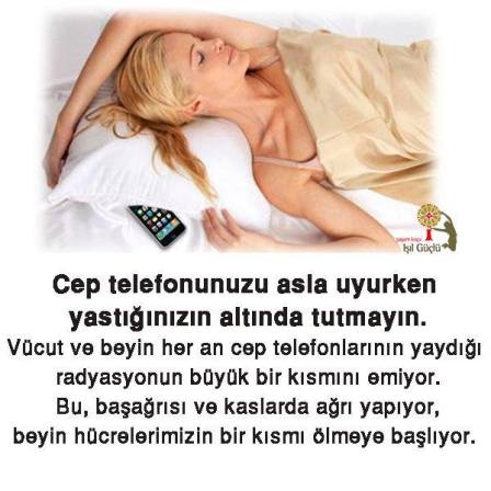 10489664_678534118919064_7747107518876222435_n[1]