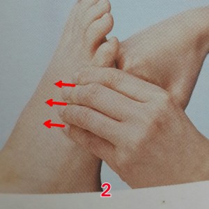 10628621_384515611744734_5278822109422597135_n[1]