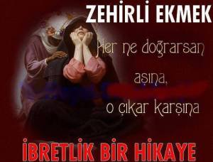 11050662_841097935957209_8245567782438481056_n[1]