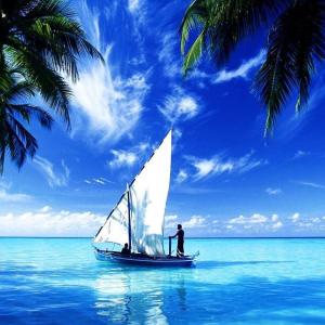 11057718_468656190006190_3187120711120926588_n[1]