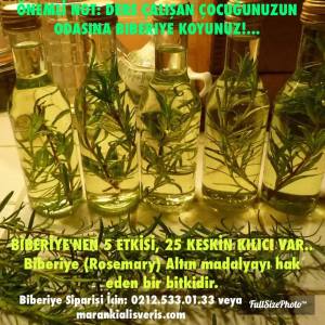 11140412_10153292871996052_4168044312221623111_n[1]