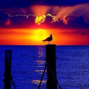 11143217_481414085397067_8529355177187251597_n[1]