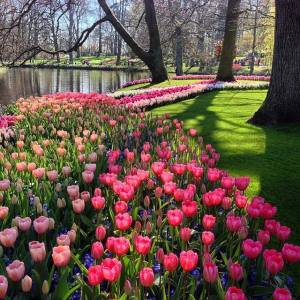 11146608_488130004725475_218688760623430672_n[1]