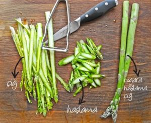 11165263_450356635130954_887603147812182857_n[1]