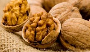 11188333_850362388364097_47501631132542204_n[1]