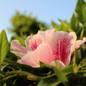 11204981_10205873987922459_319316606266006223_n[1]