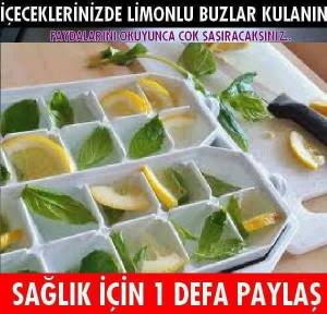 11205096_451611035005514_7197027113832261400_n[1]