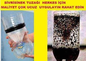 11214330_886708414720060_8797394555283552341_n[1]