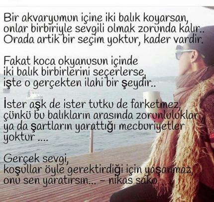 11219070_10205958407550654_4133996592866622385_n[1]