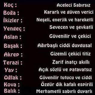 11238232_10153296111987878_7440997881740551959_n[1]