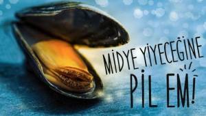 11251059_10153334726761052_5729492170872509866_n[1]