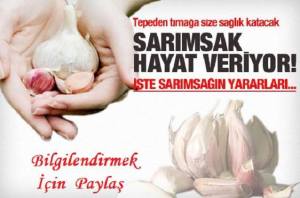 11261513_452202548279696_3210362010449966207_n[1]