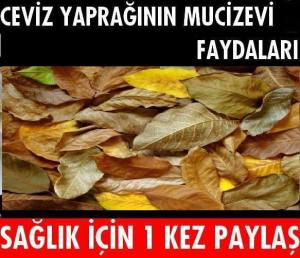 1476638_627086837353947_1404932611_n[1]