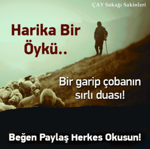 1506027_834070996656261_5534790692051278951_n[1]