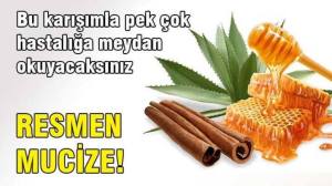 1908106_889218781099033_8666397485494604242_n[1]