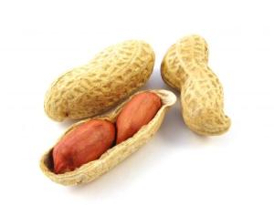 kabuklu-fistik_269008[1]