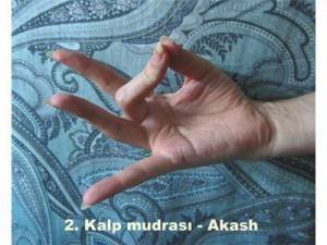 1014240_424752817645609_328415131_n[1]