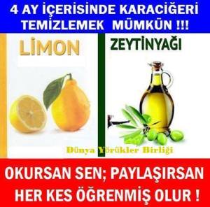 10151953_701057943271428_8035169093526996768_n[1]