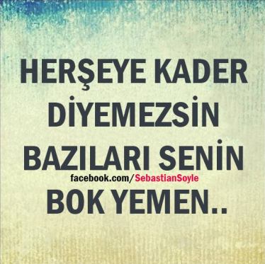 11059770_1613816142204332_6501685581742667446_n[1]