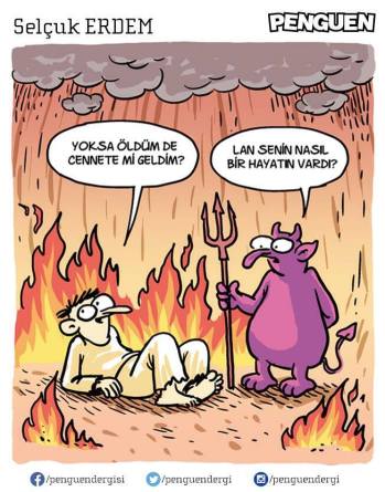 11070898_10154087584795190_4638736158392666810_n[1]