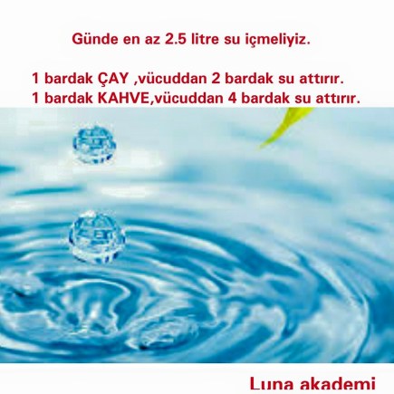 11390103_388233741372921_6032794789882504559_n[1]