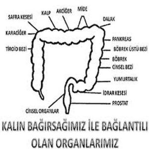 11390437_10153386194031052_5081645140671042854_n[1]