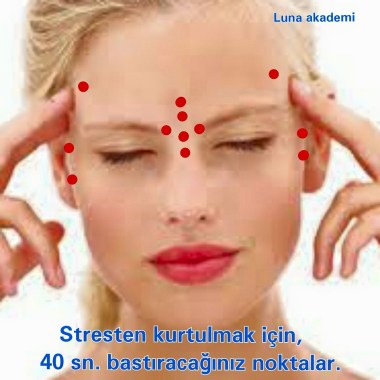 11392838_387165571479738_4772498414578765862_n[1]