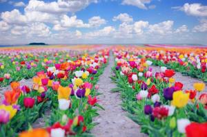 11401083_10202944580776087_3419796413001578687_n[1]