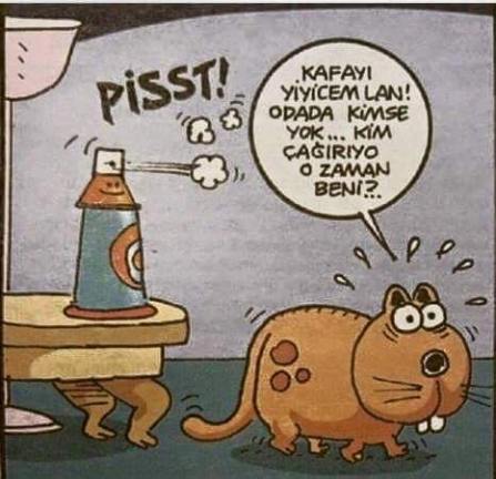 11407218_10202948239307548_5959147181490074857_n[1]