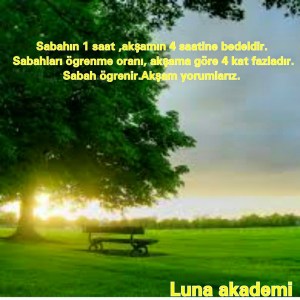 11407313_388485058014456_8060382482819883839_n[1]