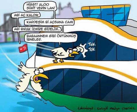 11425110_10153316228495750_7900653746021587884_n[1]