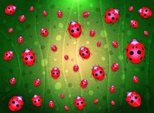 11535876_657680324332240_5229980071701494451_n[1]