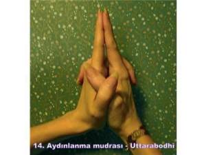 1157498_424752980978926_592783238_n[1]