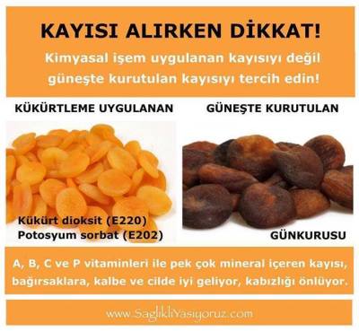 13806_10153476168224391_6122315384316297394_n[1]