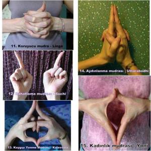 10312497_716987198348692_3044146809724709897_n[1]