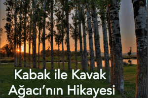 10941829_10152985309122510_6149142337752396609_n[1]