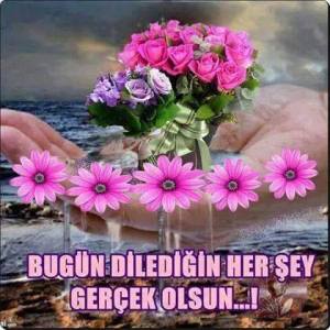 11535885_10205619434938056_6519432373802901567_n[1]