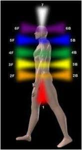 11700853_1070267119659732_6830280244372434425_n[1]