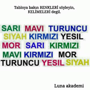 11705138_399700783559550_2808625414348724734_n[2]