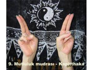 1185664_424752897645601_1295305360_n[1]