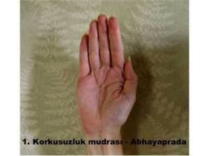 1208882_424752800978944_1163847934_n[2]