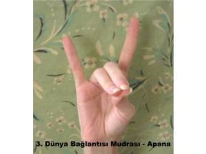 1234465_424752804312277_312363402_n[1]