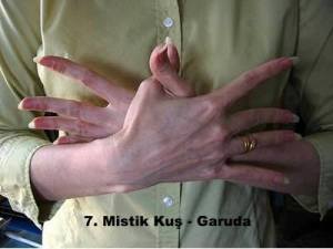 1239370_424752880978936_142434199_n[1]