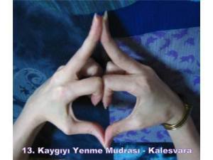 1240085_424752970978927_1178622925_n[1]