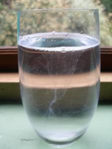 10624948_342983449200609_3192211753528119787_n[1]