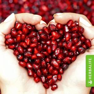 10888478_850560041672783_8963883685080765378_n[1]