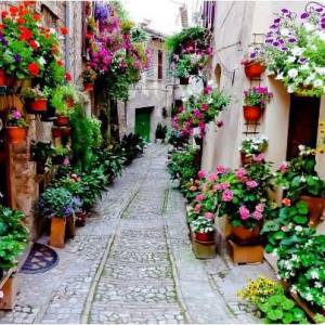 10898010_872475886126291_6713187319016214512_n[1]