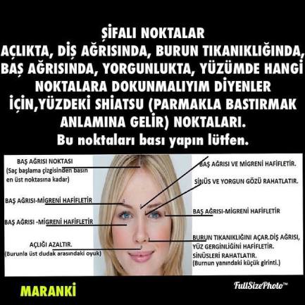 11012894_1126593370702035_5760145485911014366_n[2]